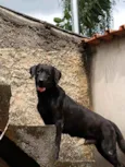 Cassarola