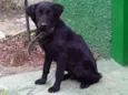 não sei