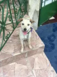 Abandonada