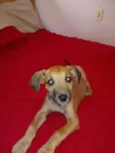 Sem nome