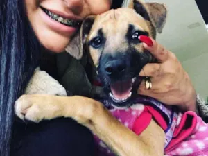 Cachorro raça SRD idade 2 a 6 meses nome Havanna