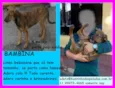 BAMBINA