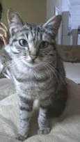 Mimi bb Linda