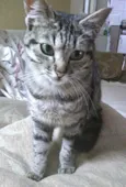 Mimi bb Linda
