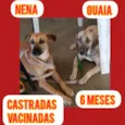Nena e Gaia