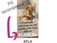 Ayla