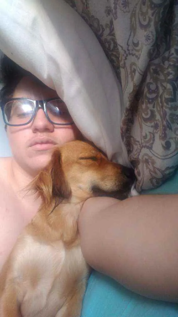 Cachorro ra a Srd idade 1 ano nome Ayla