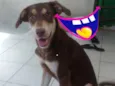 Spike 