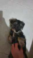 Rexx