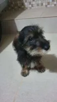 Rexx