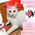 Agatha 