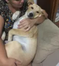 Kira