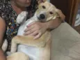 Kira
