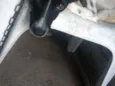 Pitucha