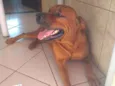 Paçoca