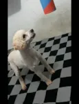Léo