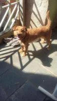 Nina