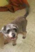 Lucky
