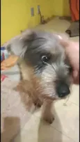 Lucky