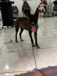 não sabemos o nome