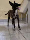 não sabemos o nome