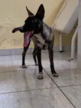 não sabemos o nome 