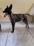 não sabemos o nome