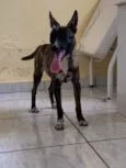 não sabemos o nome