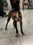 não sabemos o nome