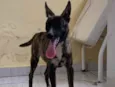 não sabemos o nome