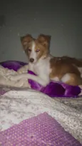 Meggie