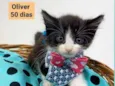 Oliver