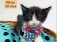 Oliver