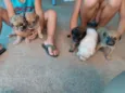 Não tem ainda 