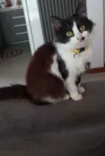 Meg