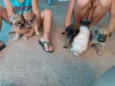 Não tem ainda 
