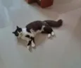 Meg