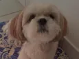 Doly