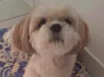 Doly