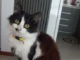 Meg