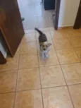 Billy