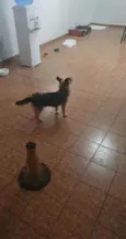 Billy