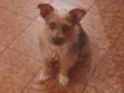 Billy