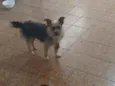 Billy