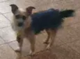 Billy