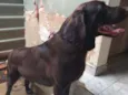 Faísca 