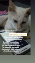 TiTi