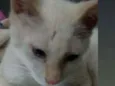 TiTi