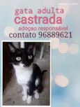 Margarida