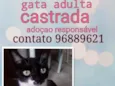 Margarida